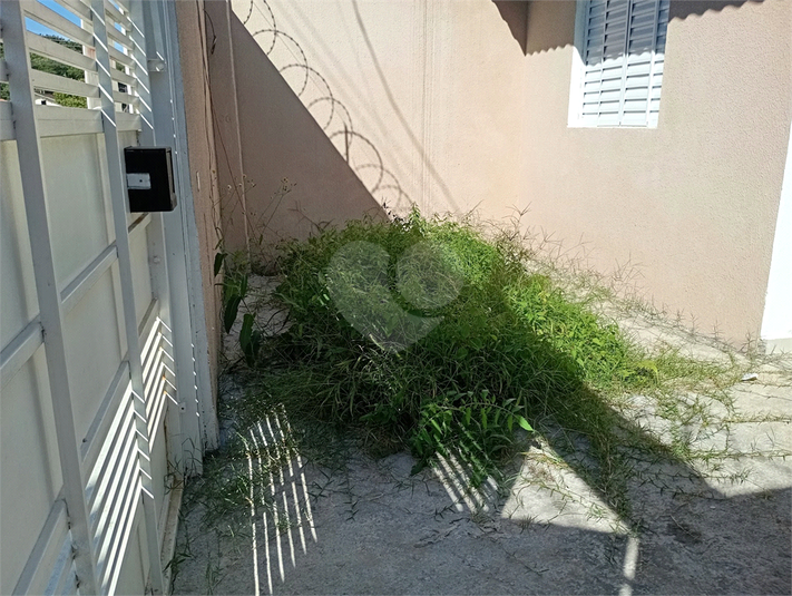 Foto REO1095851