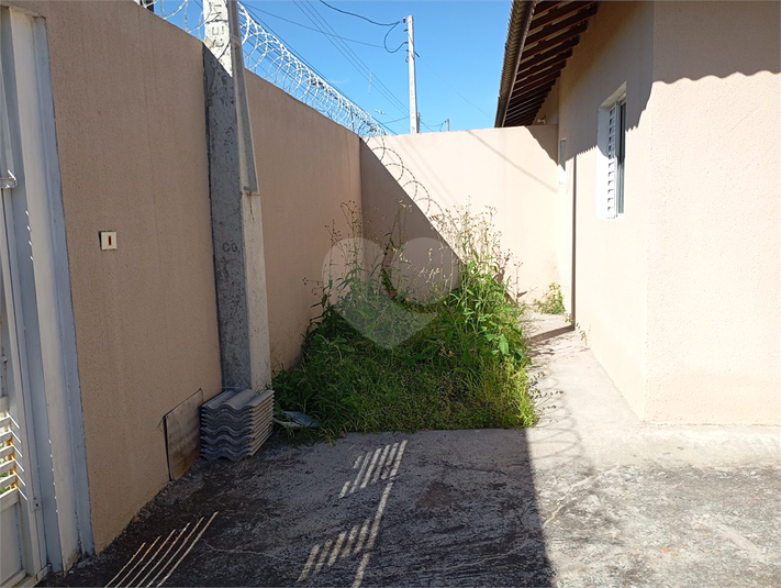 Foto REO1095851