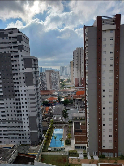 Foto REO1095863