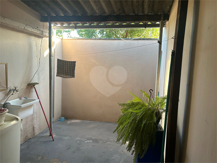 Foto REO1095879