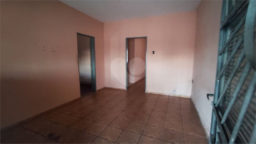 Foto REO1095880