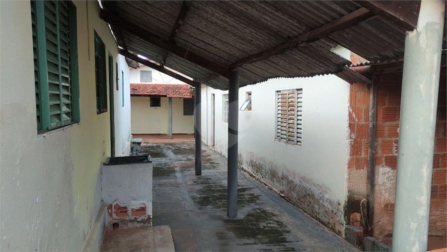 Foto REO1095880