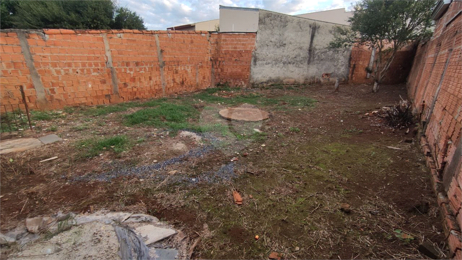 Foto REO1095880
