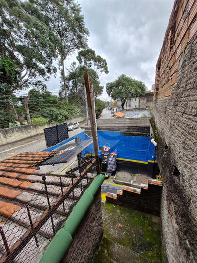 Foto REO1095881