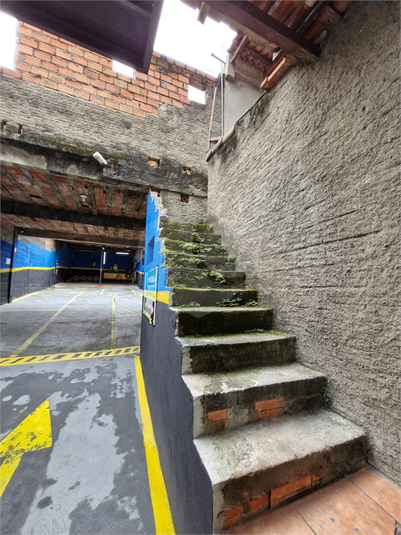 Foto REO1095881