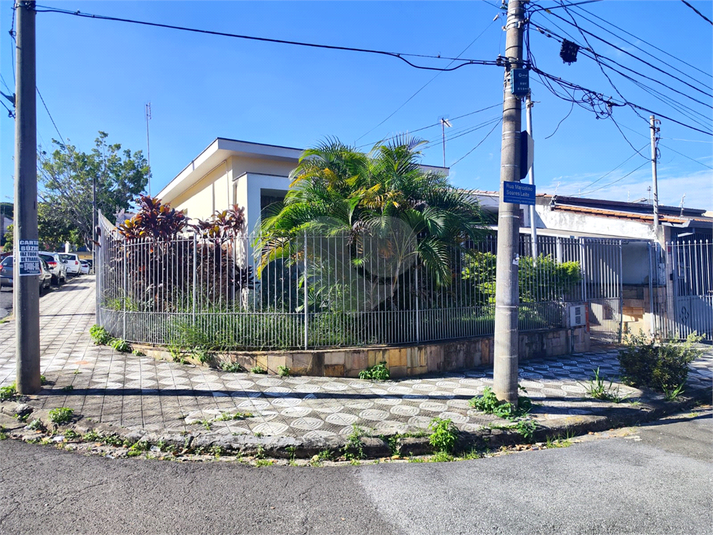 Foto REO1095883