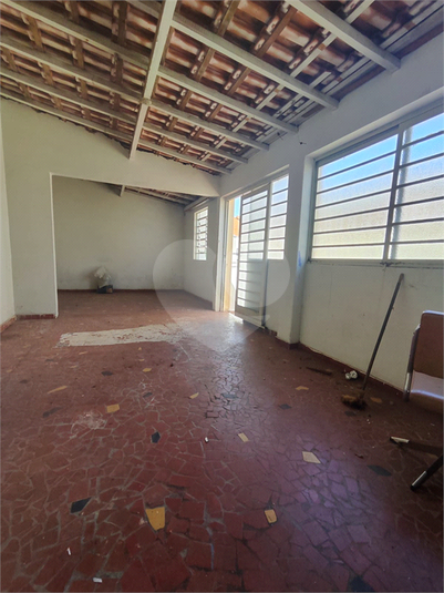 Foto REO1095883