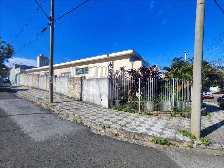 Foto REO1095883