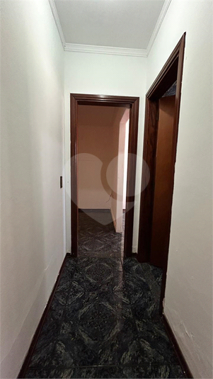 Foto REO1095888
