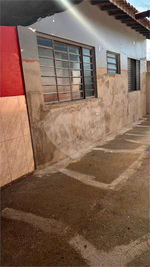 Foto REO1095888