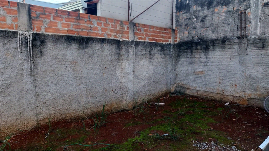 Foto REO1095906