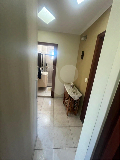 Foto REO1095907