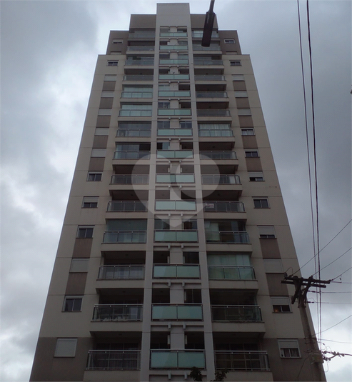 Foto REO1095916
