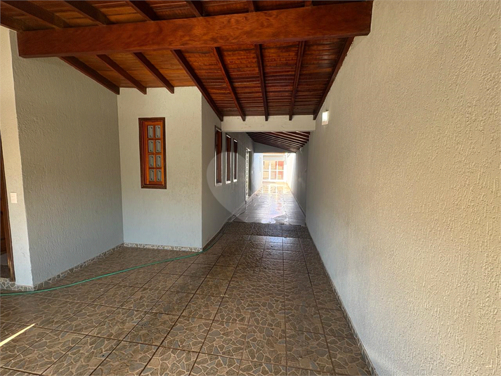 Foto REO1095920