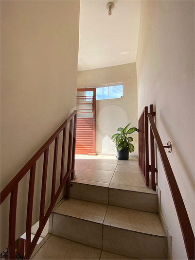 Foto REO1095922