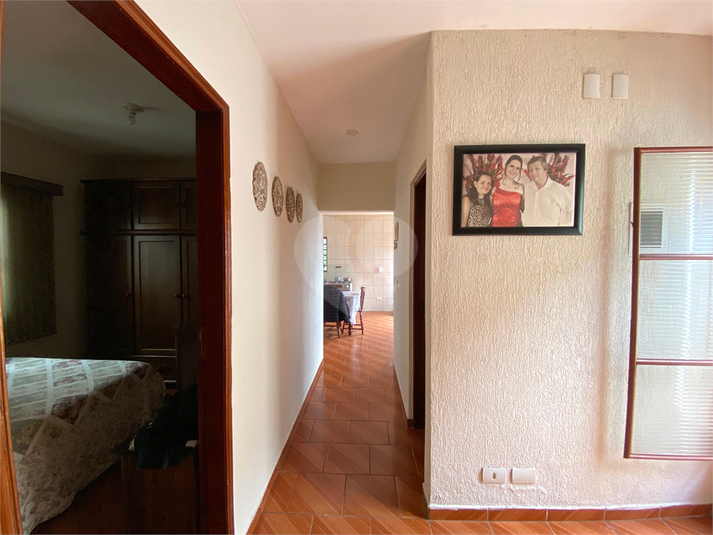 Foto REO1095922