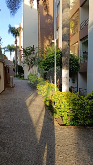Foto REO1095924