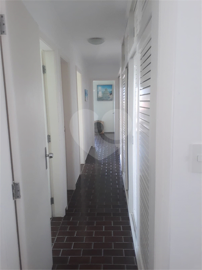 Foto REO1095928