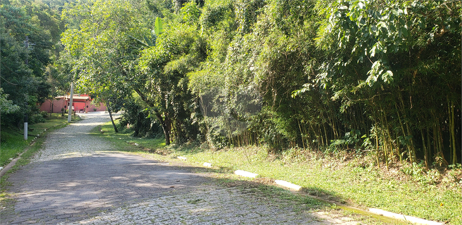 Foto REO1095936