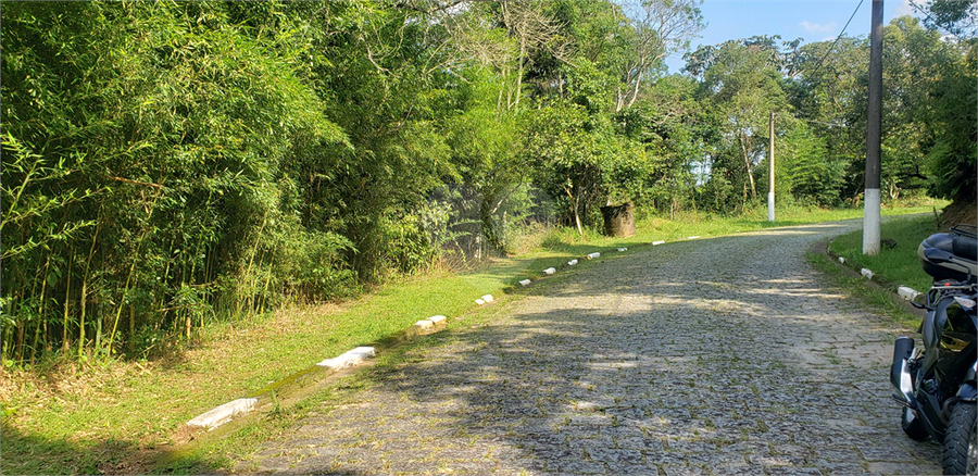 Foto REO1095936