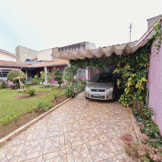Foto REO1095939
