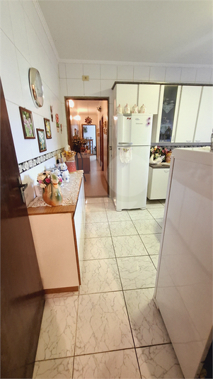 Foto REO1095939