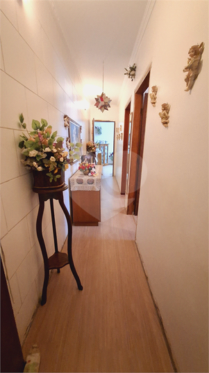 Foto REO1095939