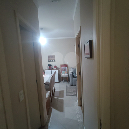 Foto REO1095940