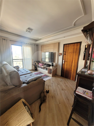 Foto REO1095941