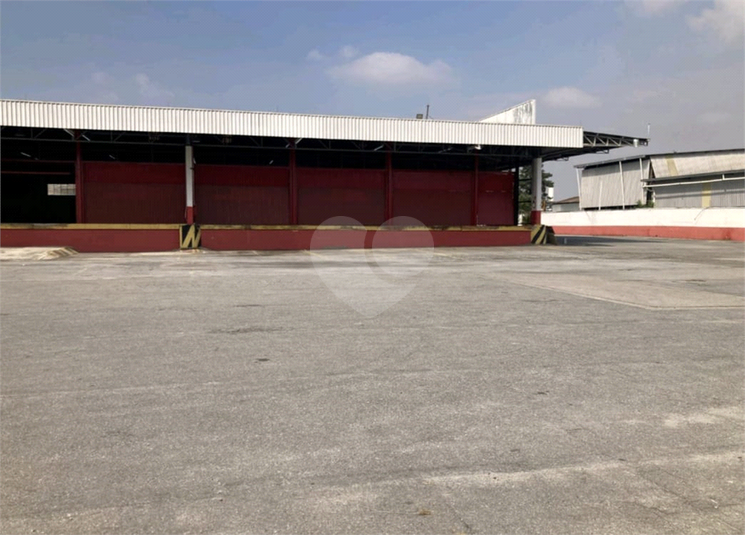 Foto REO1095942