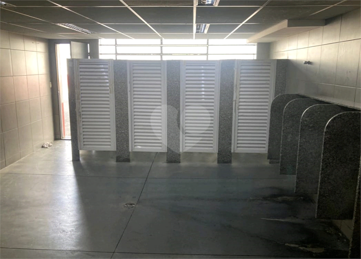 Foto REO1095942