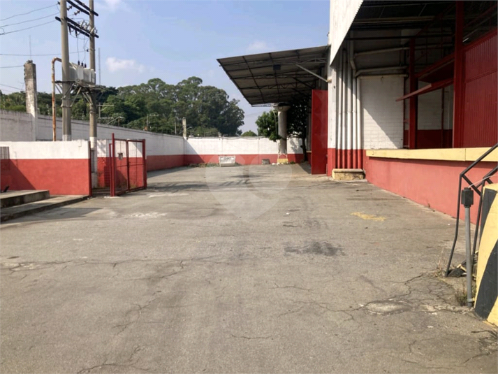 Foto REO1095942