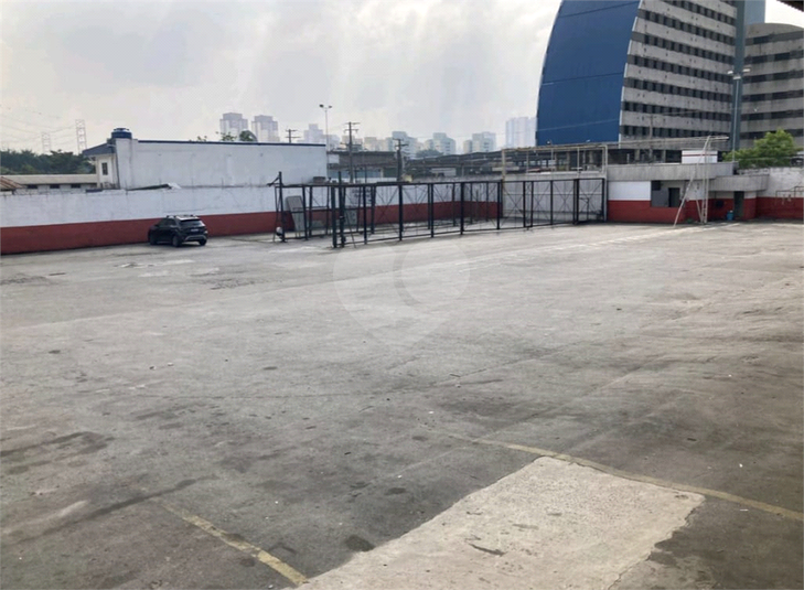 Foto REO1095942