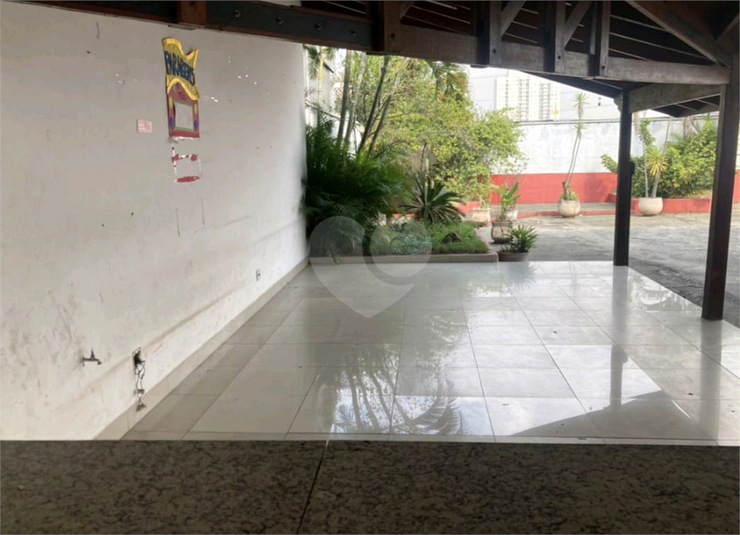 Foto REO1095942