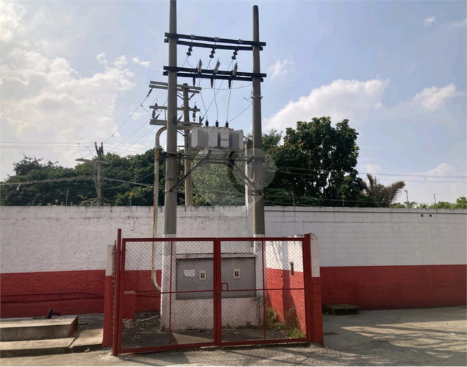 Foto REO1095942