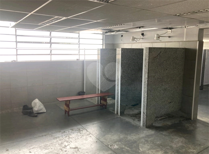 Foto REO1095942
