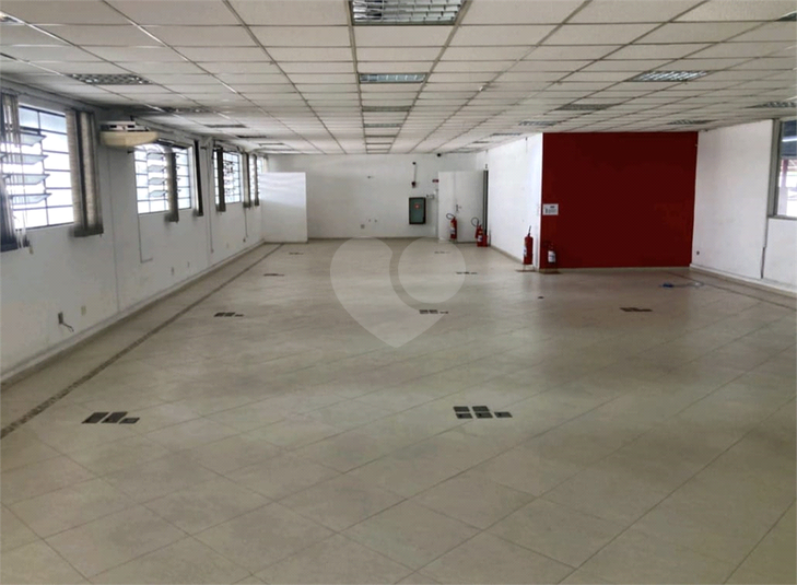 Foto REO1095942