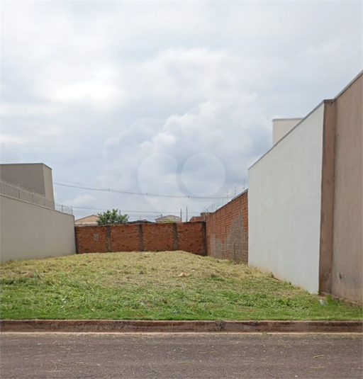Foto REO1095944