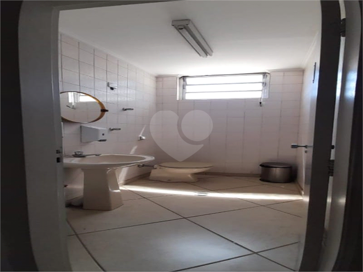 Foto REO1095949