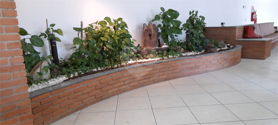 Foto REO1095949