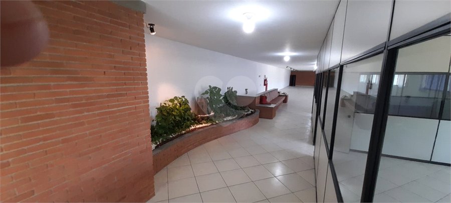 Foto REO1095949