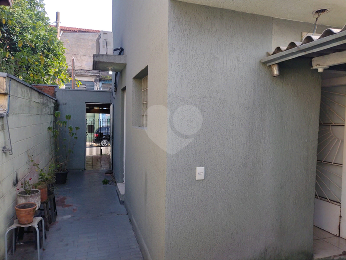 Foto REO1095956