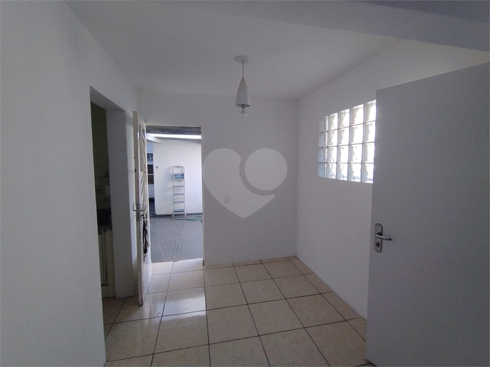 Foto REO1095956