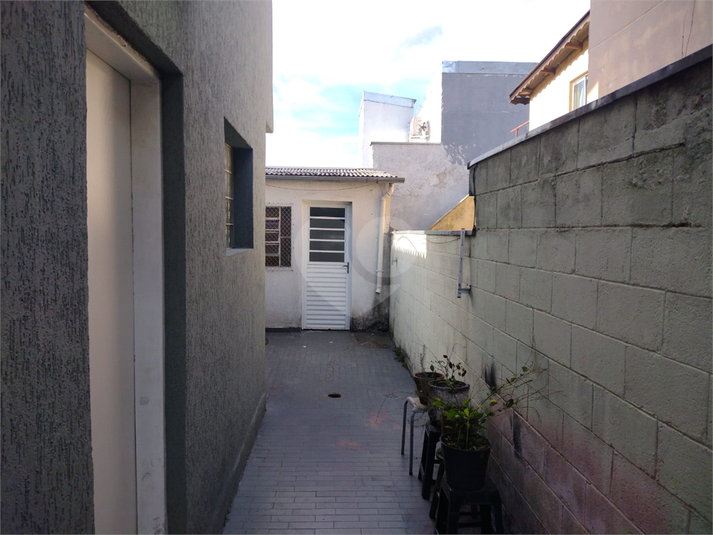 Foto REO1095956