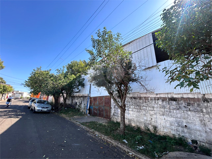 Foto REO1095962