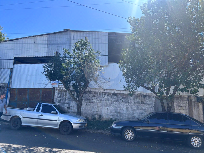 Foto REO1095962