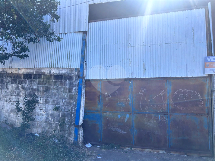 Foto REO1095962