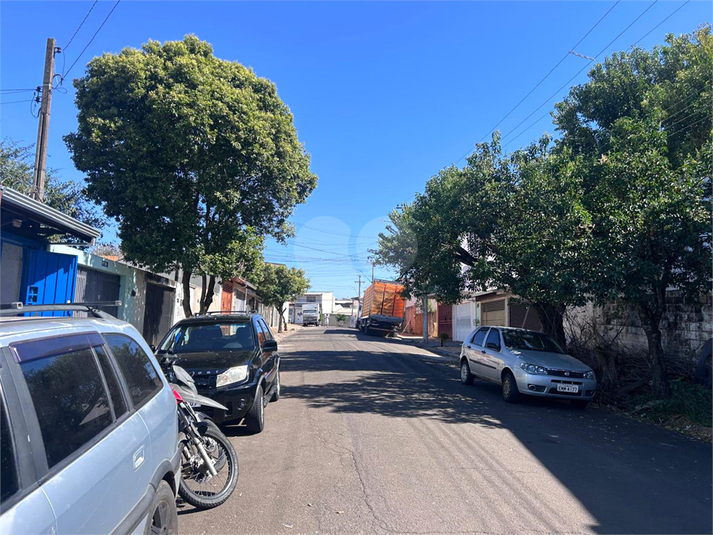 Foto REO1095962