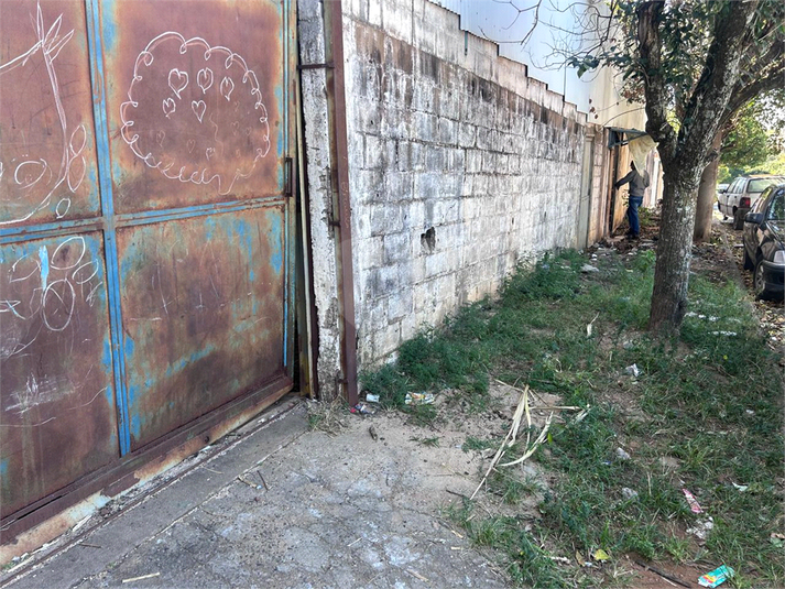 Foto REO1095962