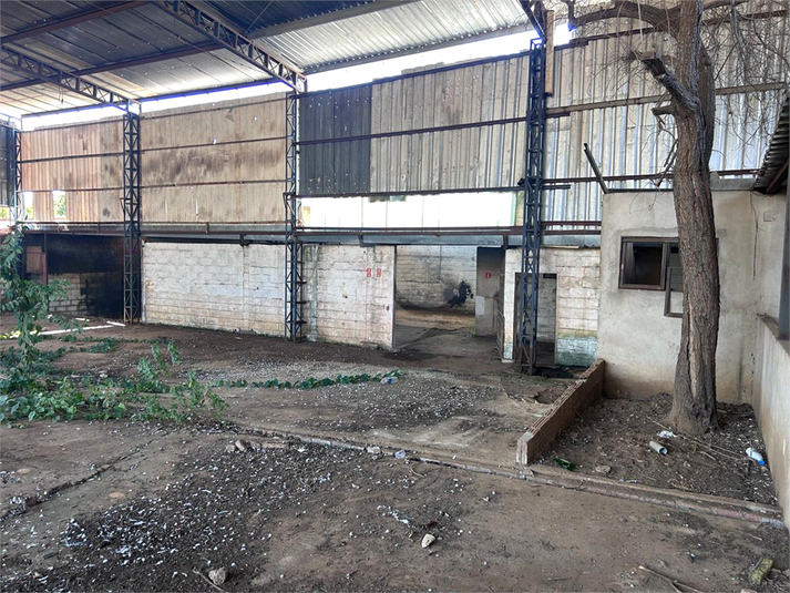 Foto REO1095962